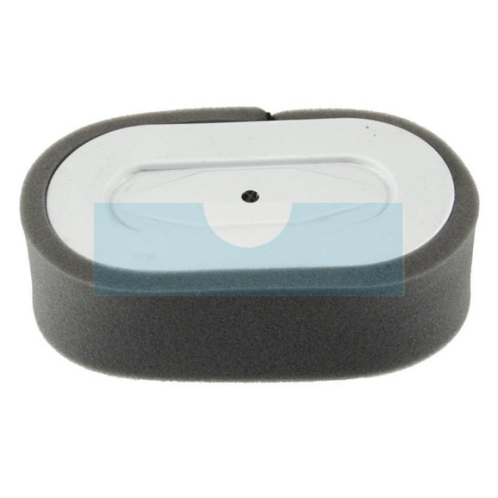 Filtre à air pour moteur Robin (2313260408)