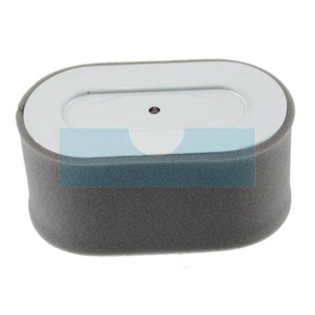 Filtre à air pour moteur Robin (2623260107)