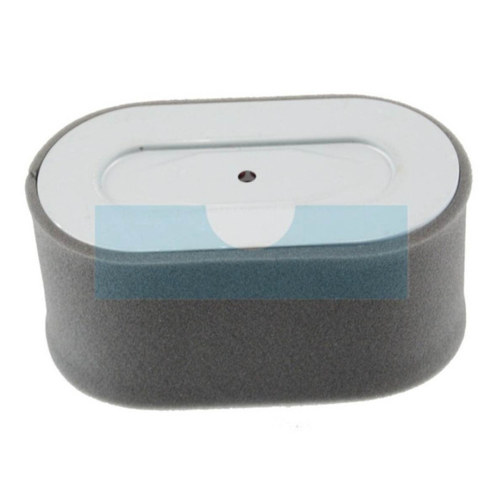 Filtre à air pour moteur Robin (2623260107)