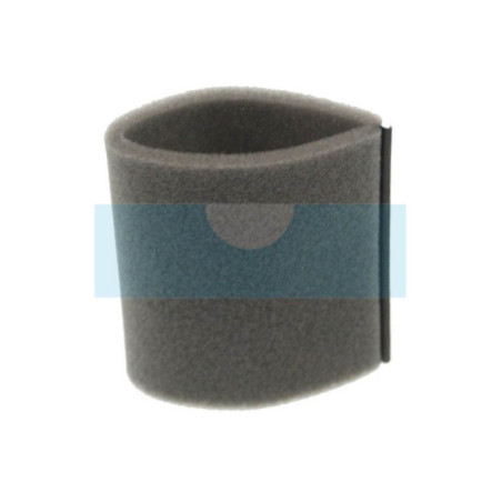 Filtre à air pour moteur Tecumseh (35435)