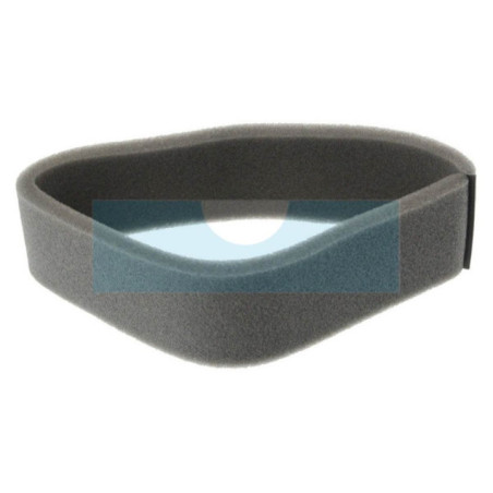 Filtre à air pour moteur Tecumseh (234870)