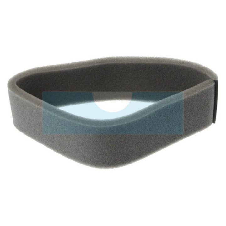 Filtre à air pour moteur Tecumseh (234870)