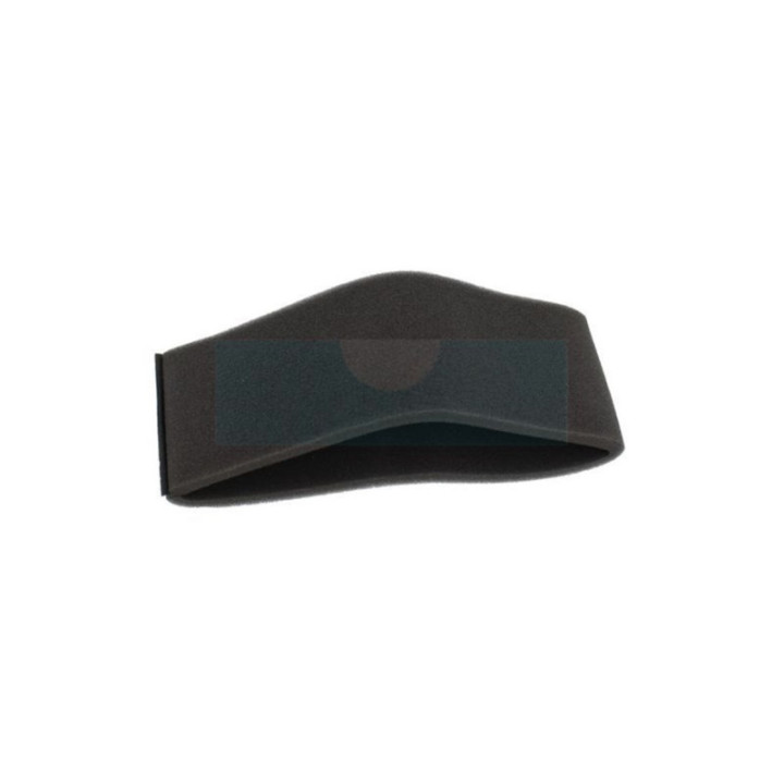 Filtre à air pour moteur Kohler (234869)