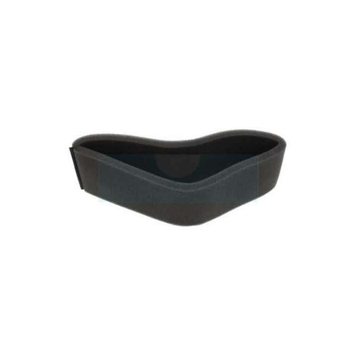 Filtre à air pour moteur Kohler (234869)