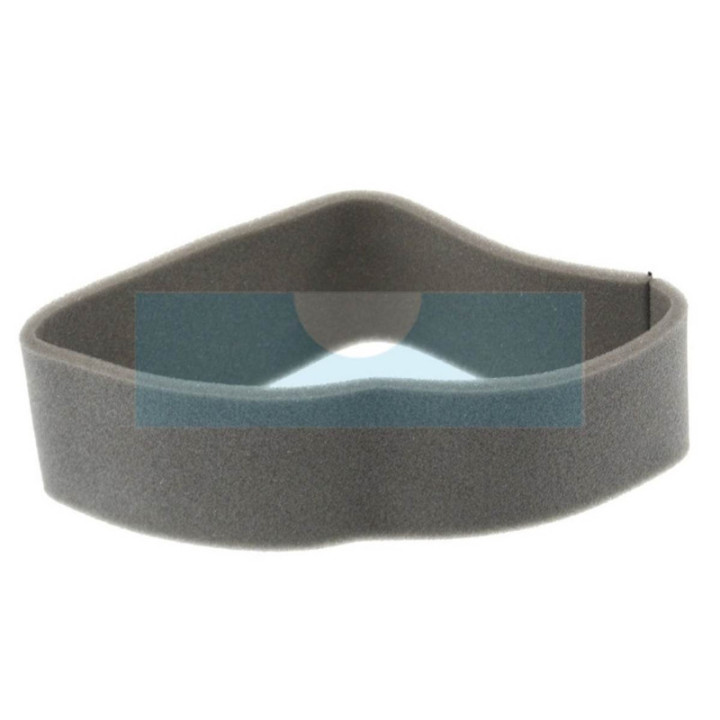 Filtre à air pour moteur Tecumseh (35404)