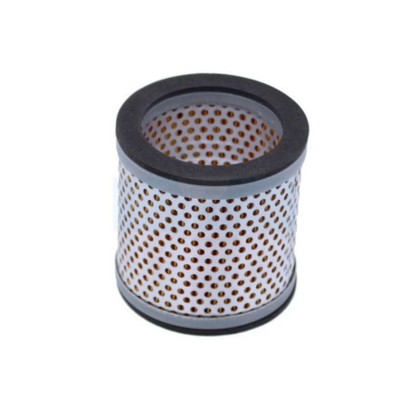 Filtre à air pour moteur Wacker (14819)
