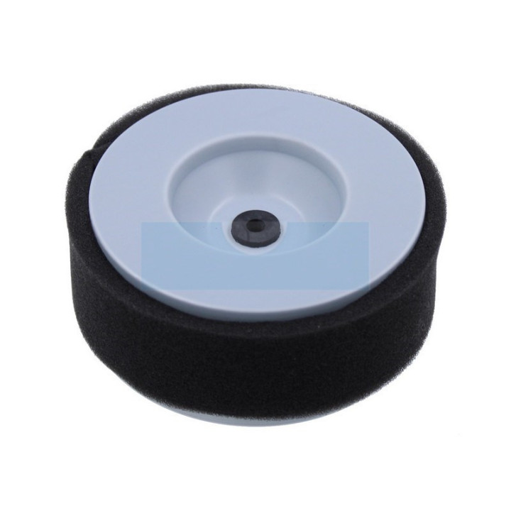 Filtre à air pour moteur Yanmar (11425012580)