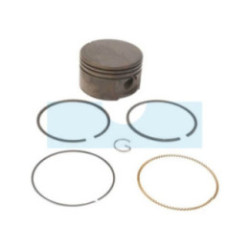 Kit piston segments pour moteur Briggs & Stratton (795429)