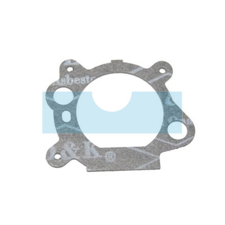Joint carburateur pour moteur Briggs & Stratton (795629)