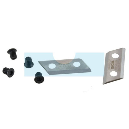 Jeu de 2 couteaux pour broyeur Ryobi (ACC030)