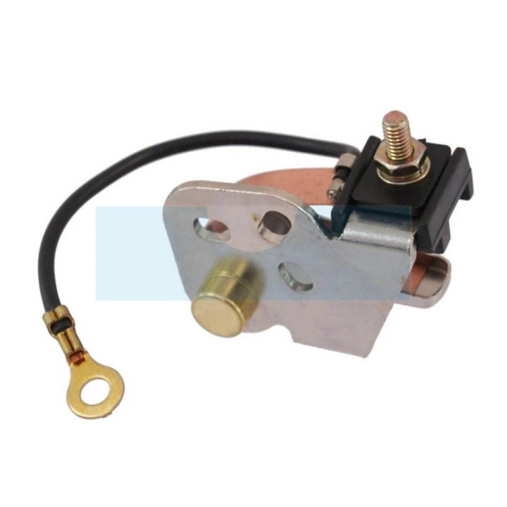 Rupteur d'allumage pour moteur Bernard (304794)