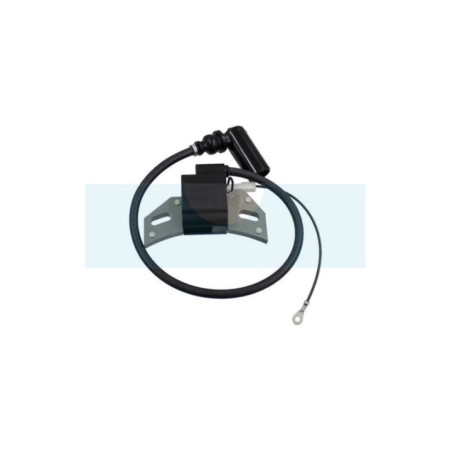 Bobine d'allumage pour moteur Lombardini / Intermotor (1567097)
