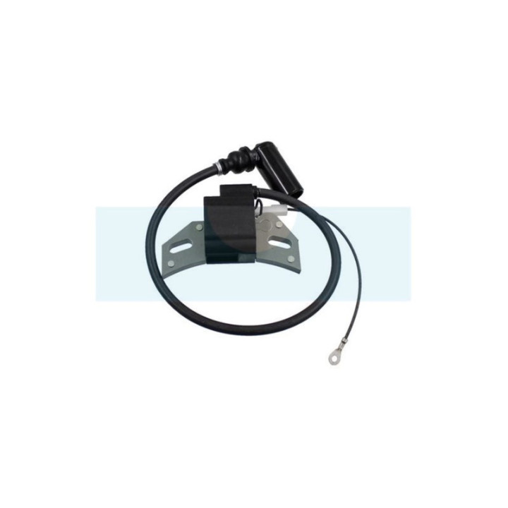 Bobine d'allumage pour moteur Lombardini / Intermotor (1567097)