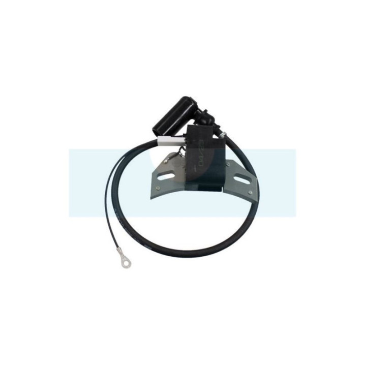 Bobine d'allumage pour moteur Lombardini / Intermotor (1567097)
