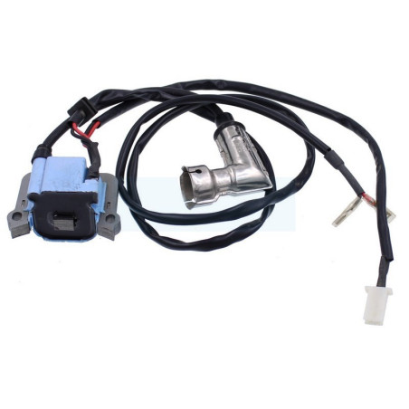 Bobine d'allumage pour Viper (300191CE)