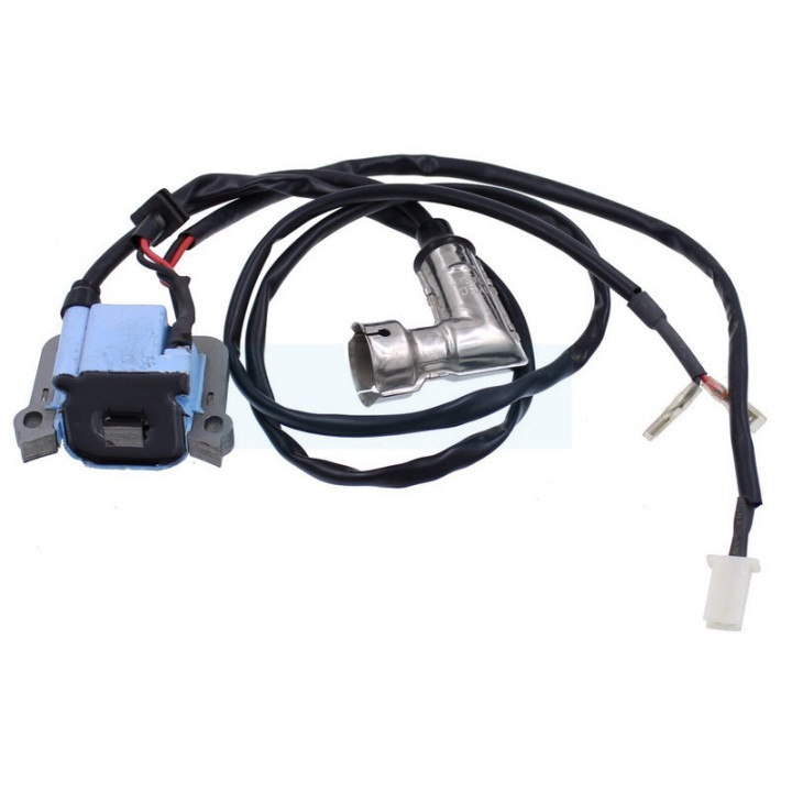 Bobine d'allumage pour Viper (300191CE)