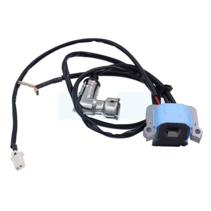 Bobine d'allumage pour Viper (300191CE)
