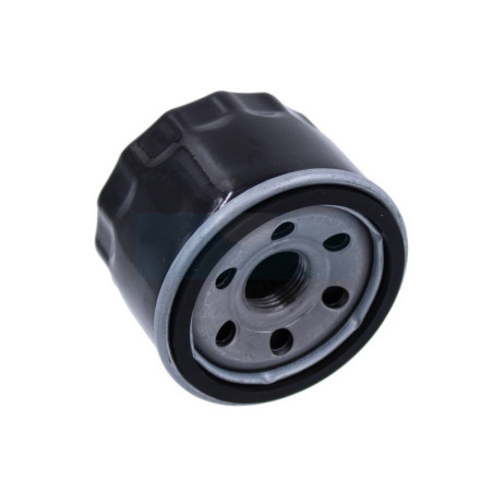 Filtre à huile pour moteur MTD (75111501)