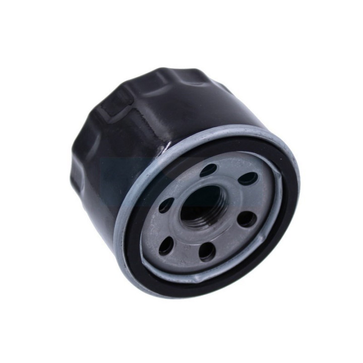 Filtre à huile pour moteur MTD (75111501)