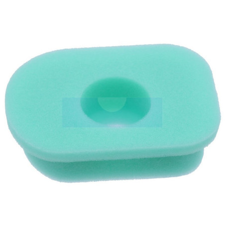 Filtre à air pour moteur Briggs & Stratton (270579)