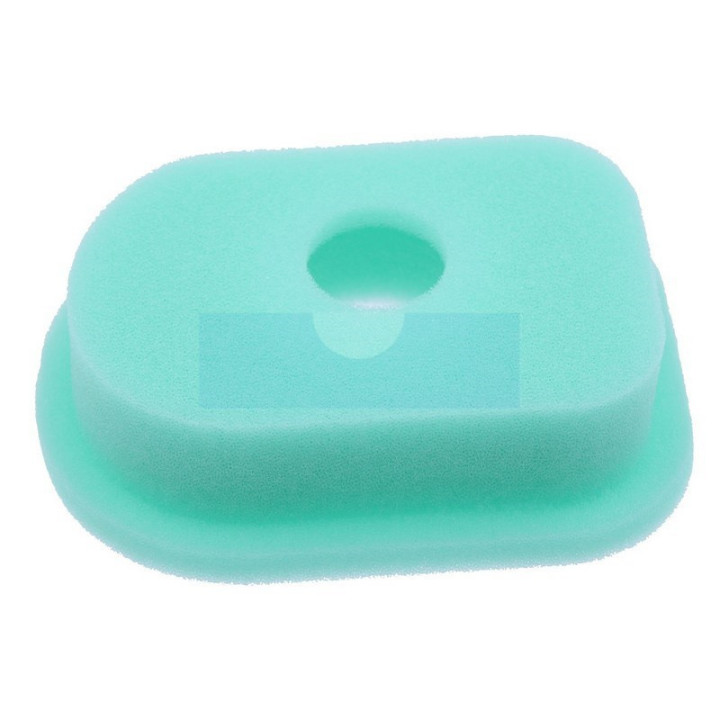 Filtre à air pour moteur Briggs & Stratton (270579)