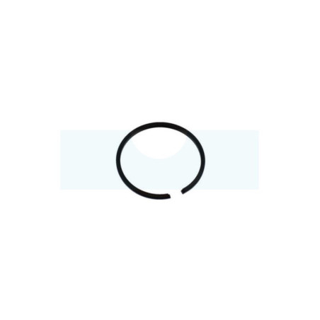 Segment pour moteur Echo (10001105330)