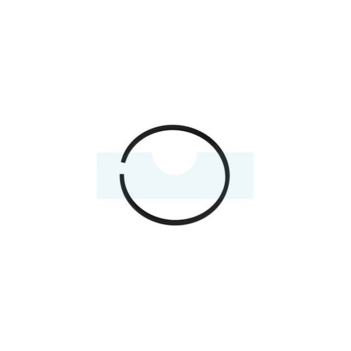 Segment pour souffleur Echo (10001108360)