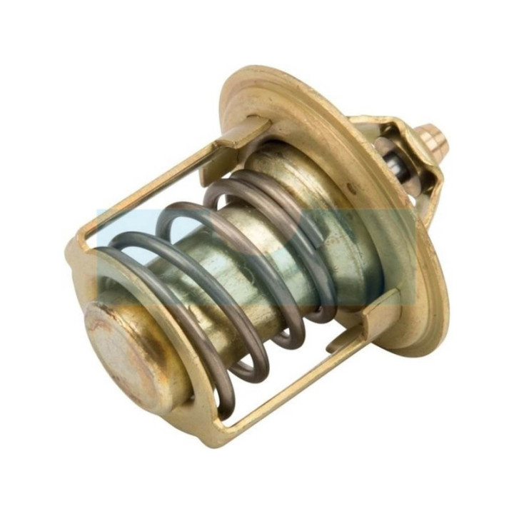 Thermostat pour moteur Kubota (1E39973010)