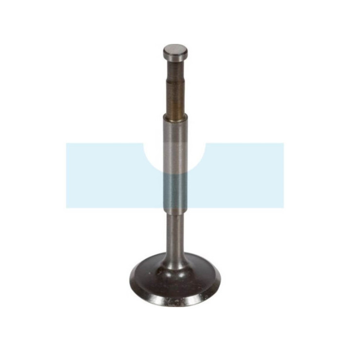 Soupape d'échappement pour moteur Honda (14721896000)