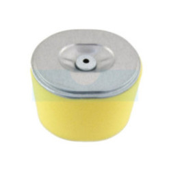 Filtre à air pour moteur / groupe électrogène / pompe à eau Honda (17210ZE3000)