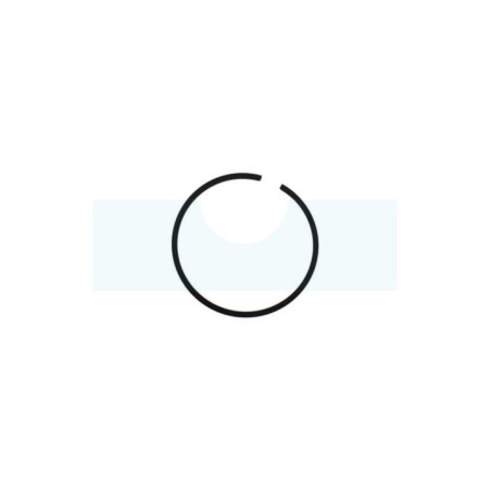 Segment pour tronçonneuse Echo (A101000690)