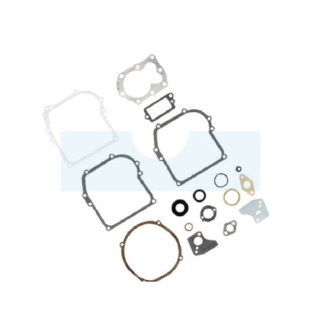 Pochette de joint pour moteur Briggs & Stratton (795971)