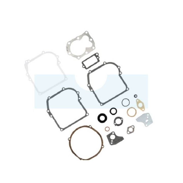 Pochette de joint pour moteur Briggs & Stratton (795971)