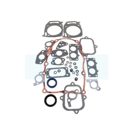 Pochette de joint pour moteur Briggs & Stratton (842658)