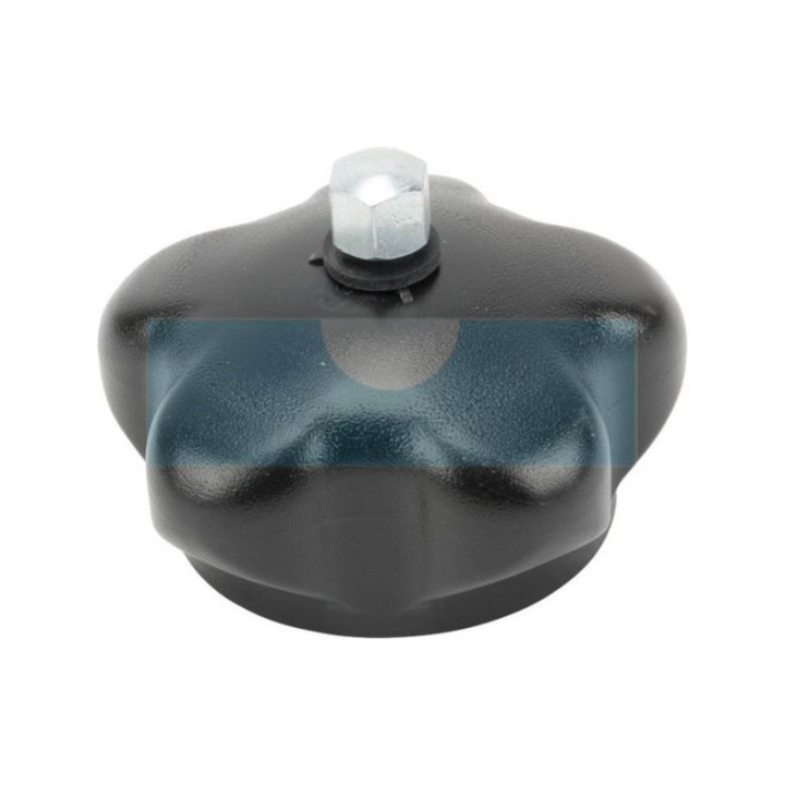 Bouchon d'essence pour tondeuse As Motor (E04783)