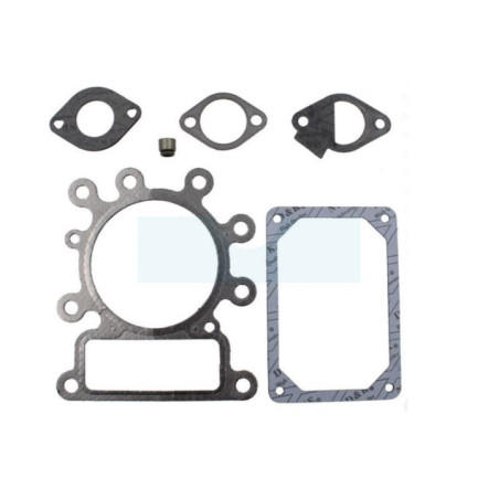 Pochette de joint pour moteur Briggs & Stratton (796189)