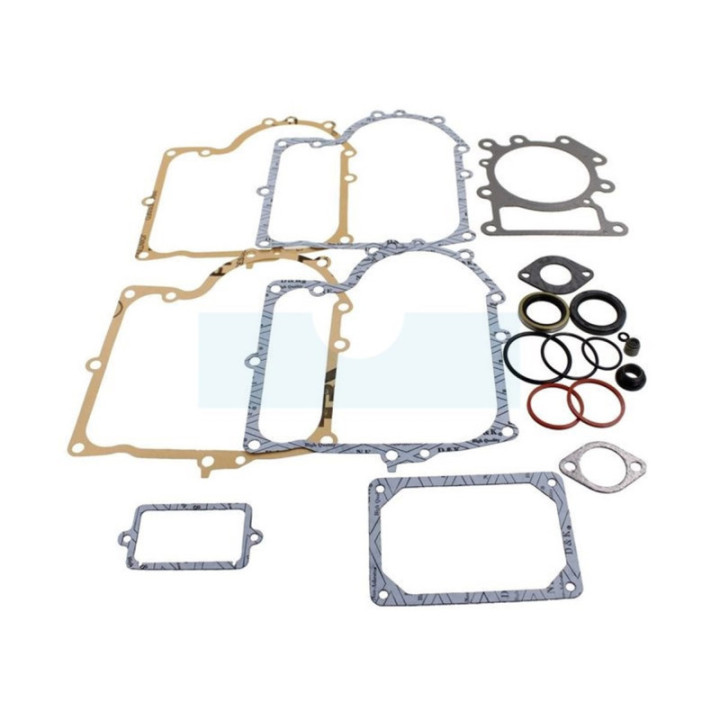 Pochette de joint pour moteur Briggs & Stratton (690189)