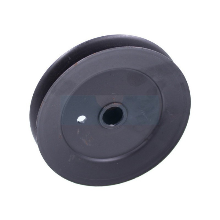 Poulie de palier pour tracteur tondeuse MTD (7560556)