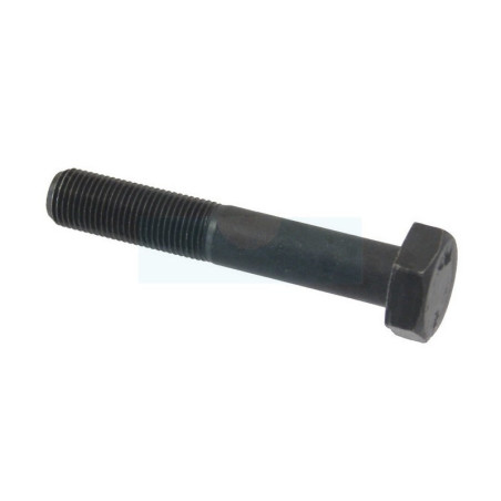 Vis de lame pour tondeuse MTD (7101382)