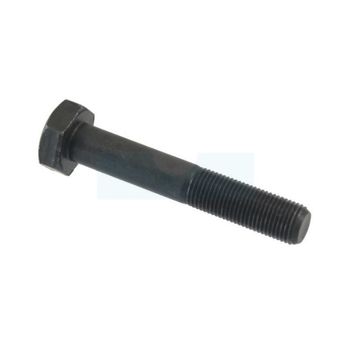 Vis de lame pour tondeuse MTD (7101382)