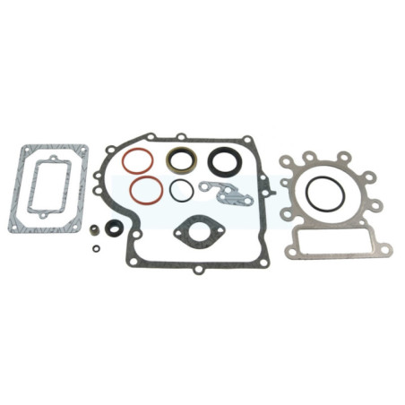 Pochette de joint pour moteur Briggs & Stratton (691580)