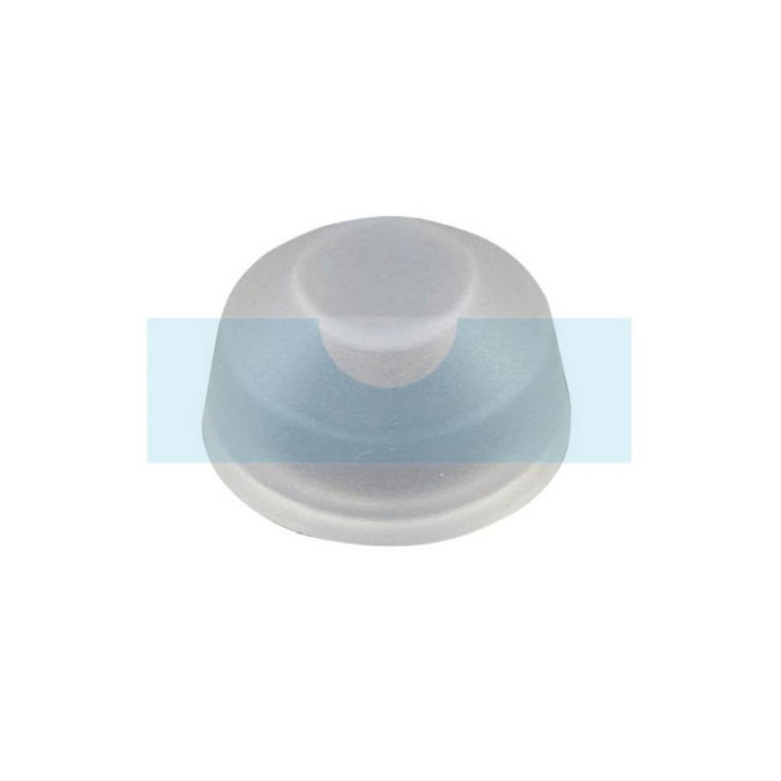 Capuchon d'étanchéité d'essence pour As Motor (E06739)