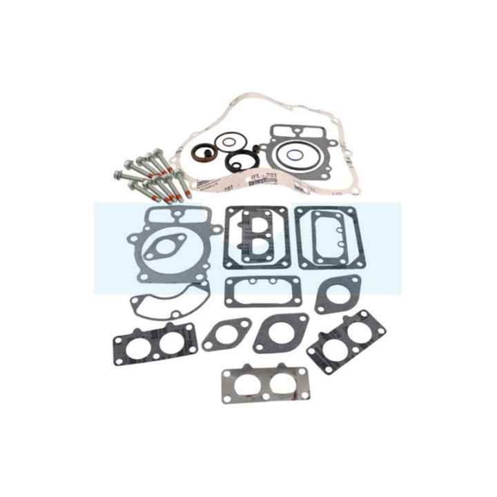 Pochette de joint pour moteur Briggs & Stratton (694012)