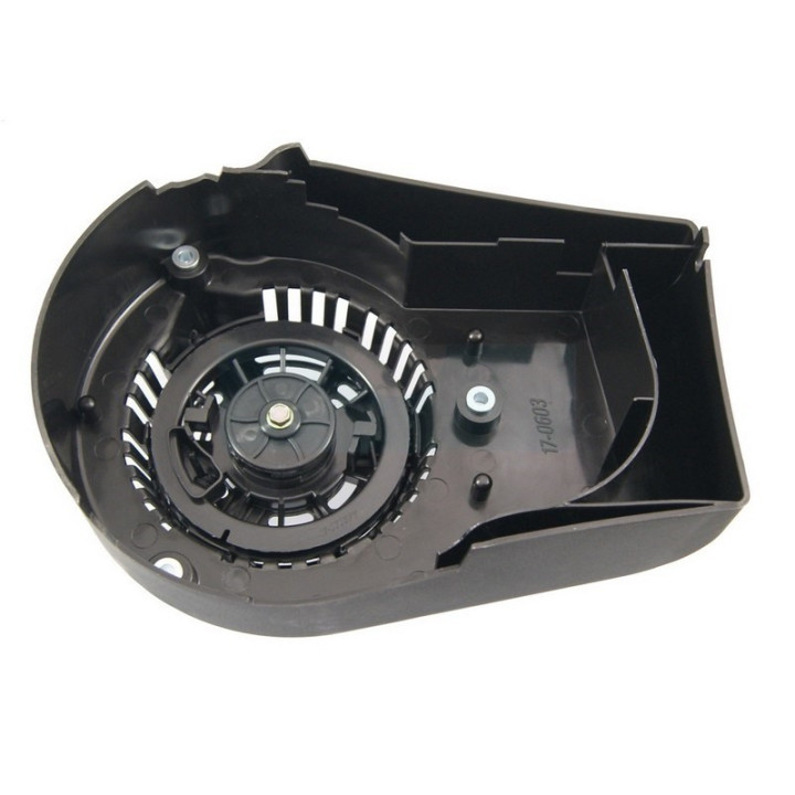 Lanceur pour moteur Castelgarden / GGP (1185502760)