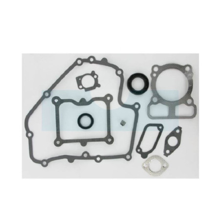 Pochette de joint pour moteur Briggs & Stratton (793623)