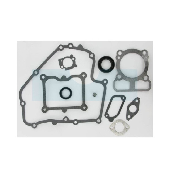 Pochette de joint pour moteur Briggs & Stratton (793623)