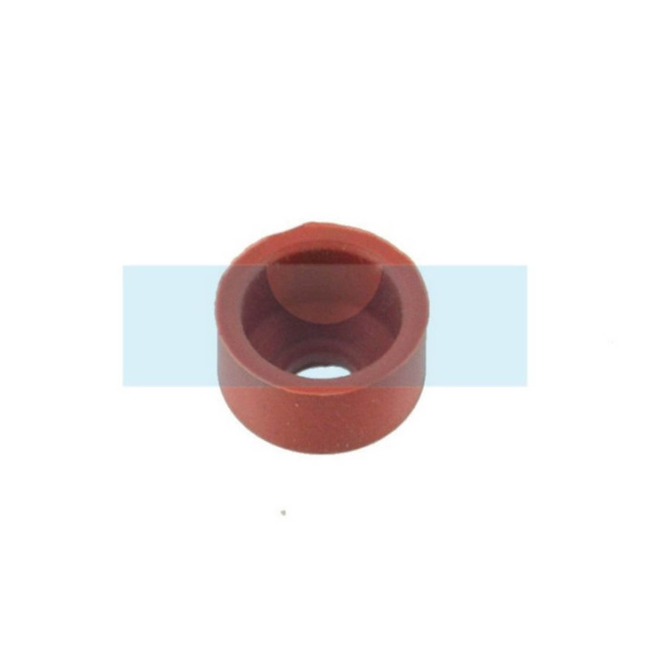 Joint de queue de soupape pour moteur Lombardini (2135068)