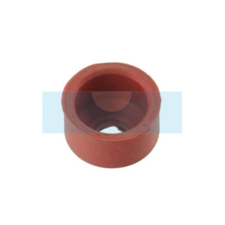 Joint de queue de soupape pour moteur Lombardini (2135067)