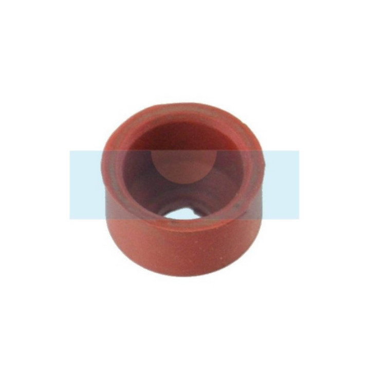 Joint de queue de soupape pour moteur Lombardini (2135067)