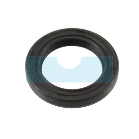 Joint spi pour Lawn Boy (602632)